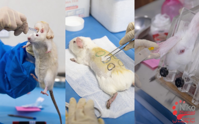 تست‌های زیست سازگاری مجموعه‌ای از آزمایشات گسترده و دقیقی هستند که برای ارزیابی ایمنی و سازگاری مواد با سیستم‌های بیولوژیکی انجام می‌شوند.