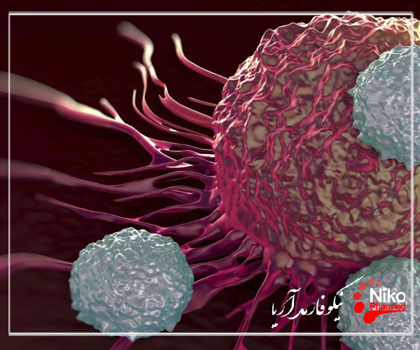 m/آزمون سرطان زایی