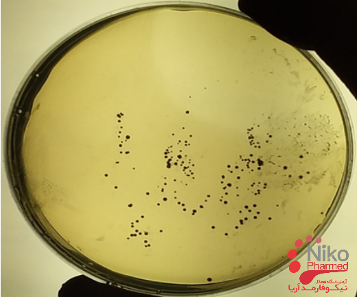 اهمیت انجام آزمونهای میکروبی شیر