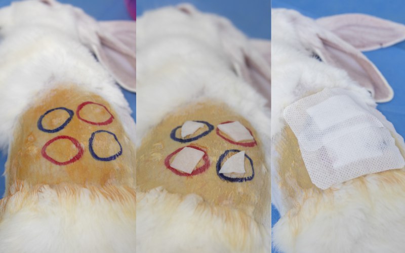 آزمون زیست سازگاری (Biocompatibility ) به سازگار بودن یک ماده با بافت زنده اطلاق می‌گردد. 